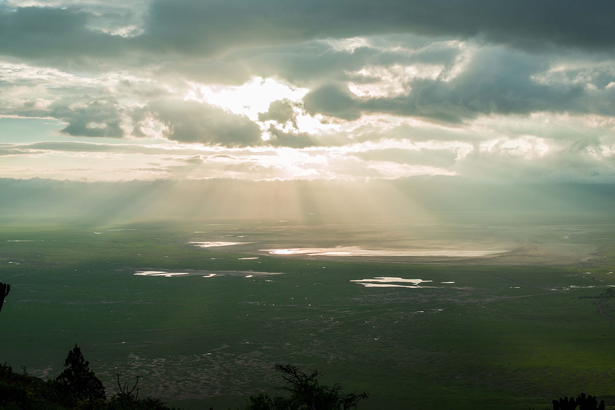 3 Day Tanzania Safari