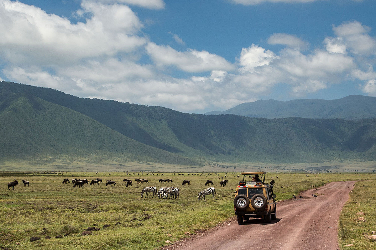 A view of the wildlife inside the Ngorongoro Crater