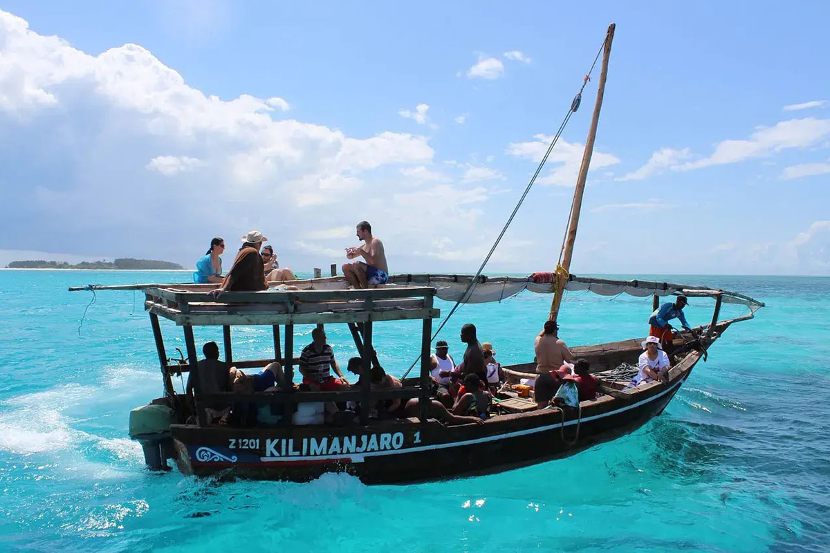 Swimming in the clear green waters of the mangrove lagoon